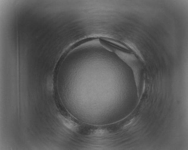 X0000071330204200606261255