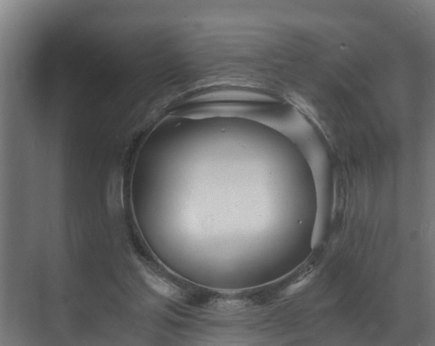 X0000071330205200606261255