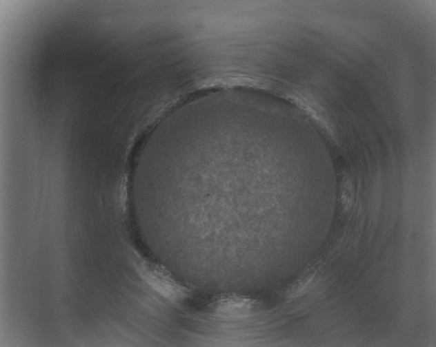 X0000071330206200606261255