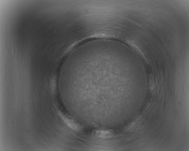 X0000071330208200606261255