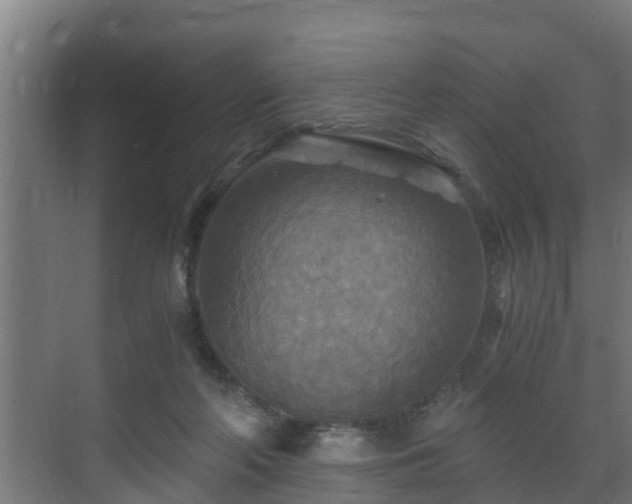 X0000071330214200606261255