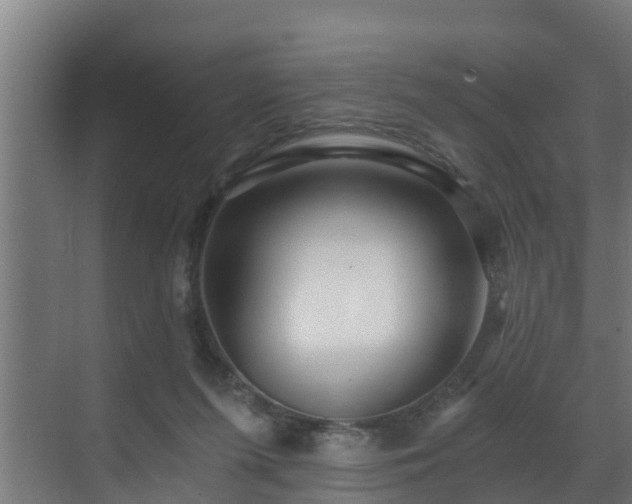 X0000071330215200606261255