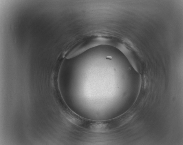 X0000071330217200606261255