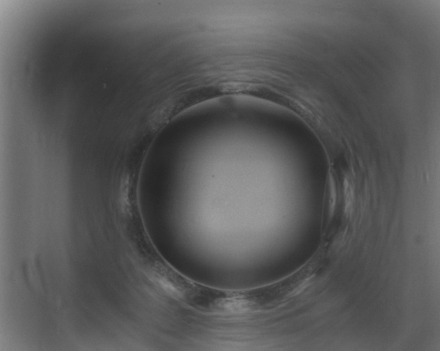 X0000071330219200606261255