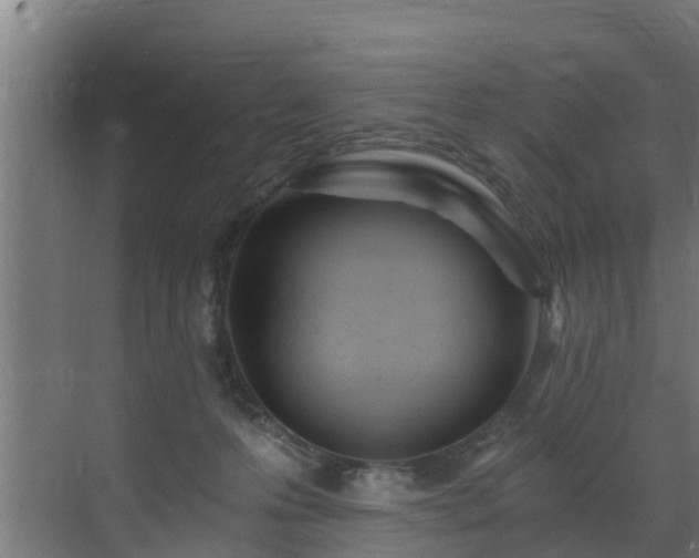 X0000071330223200606261255