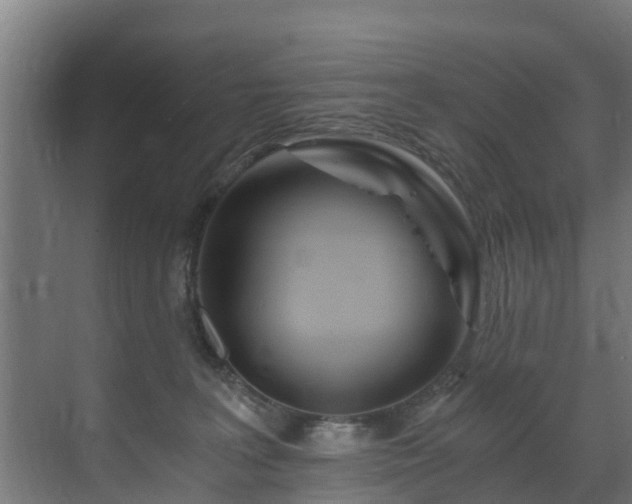 X0000071330227200606261255