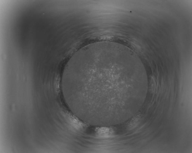 X0000071330230200606261255