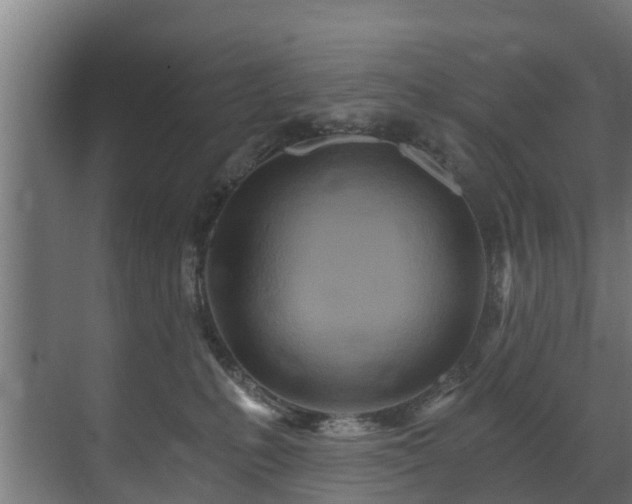 X0000071330231200606261255