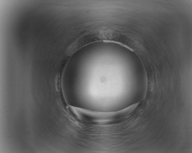 X0000071330233200606261255