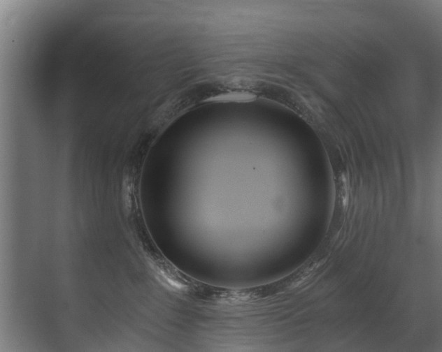 X0000071330235200606261255