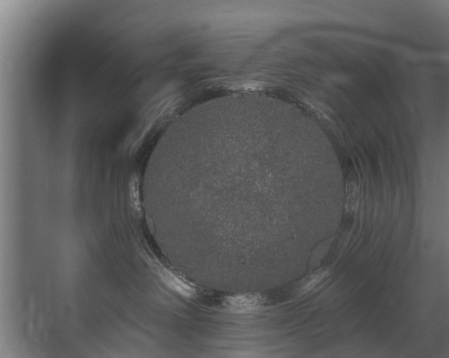 X0000071330238200606261255