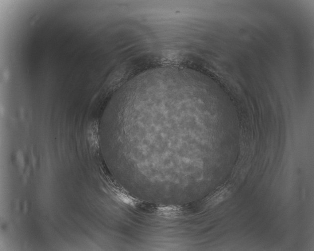 X0000071330240200606261255