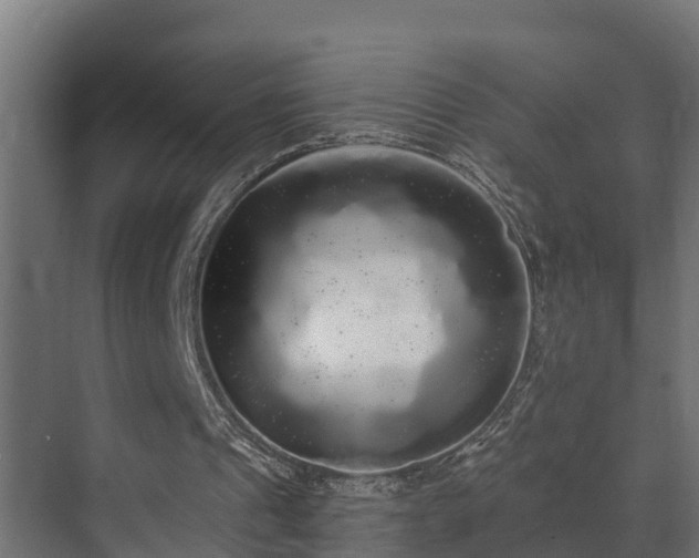 X0000071330241200606261254