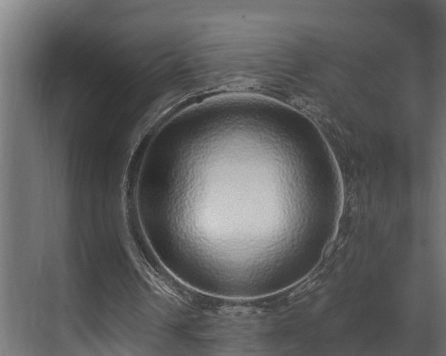 X0000071330242200606261254