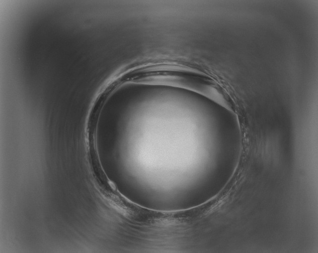 X0000071330246200606261254