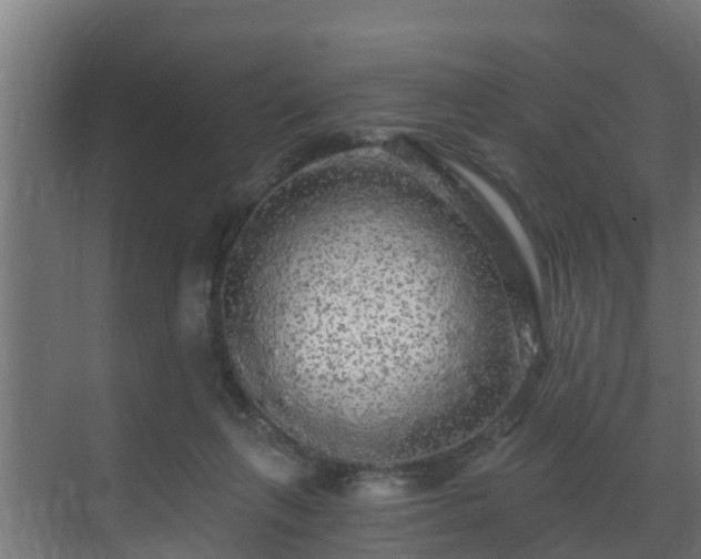 X0000071330263200606261254