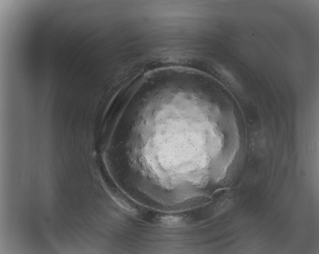 X0000071330265200606261254