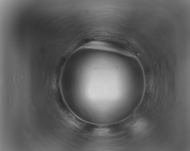 X0000071330266200606261254