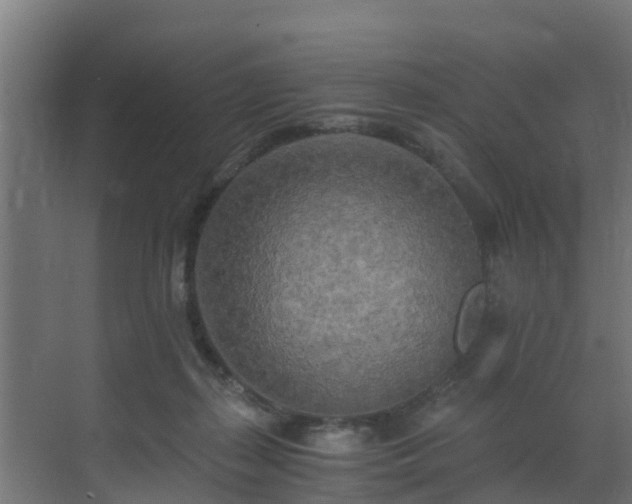 X0000071330267200606261254