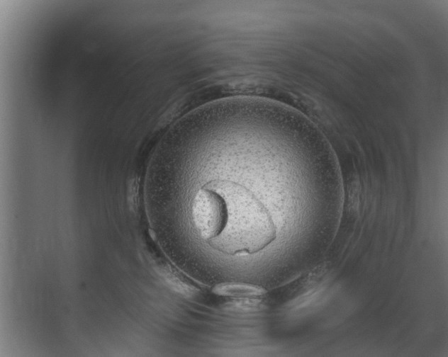 X0000071330278200606261254