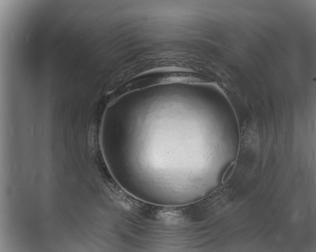 X0000071330283200606261254