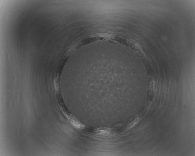 X0000071330285200606261254