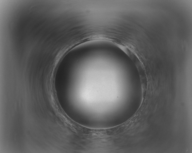 X0000071330289200606261254