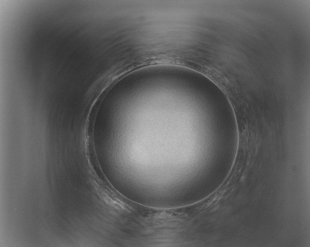 X0000071330290200606261254