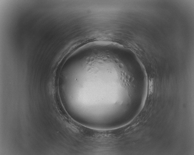 X0000071330291200606261254