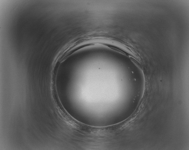 X0000071330293200606261254