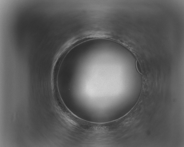 X0000071330296200606261254