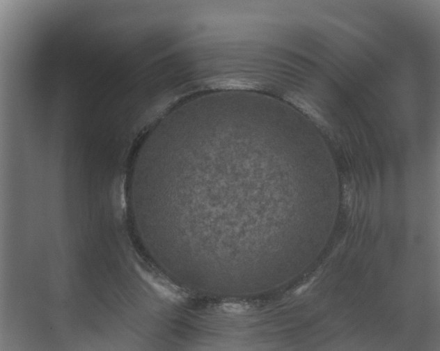 X0000071330302200606261253