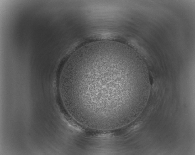 X0000071330306200606261253