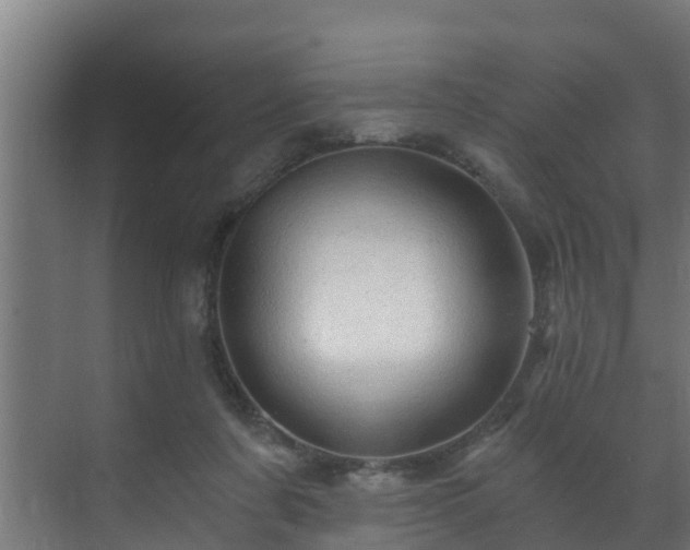 X0000071330311200606261253