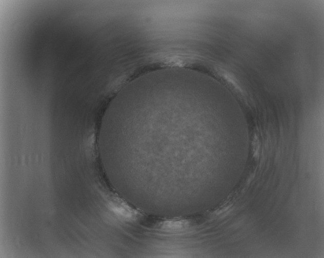 X0000071330314200606261253