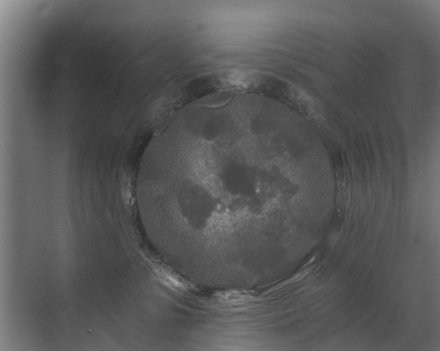 X0000071330331200606261253