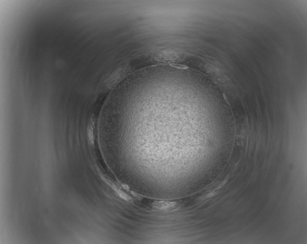 X0000071330334200606261253