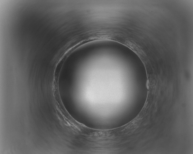 X0000071330338200606261252