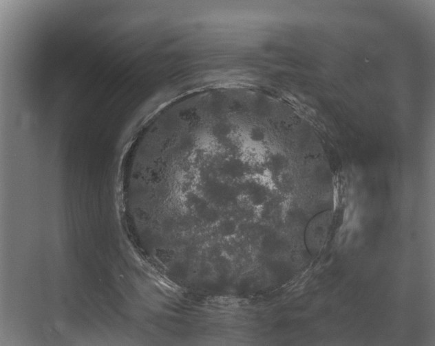 X0000071330339200606261252