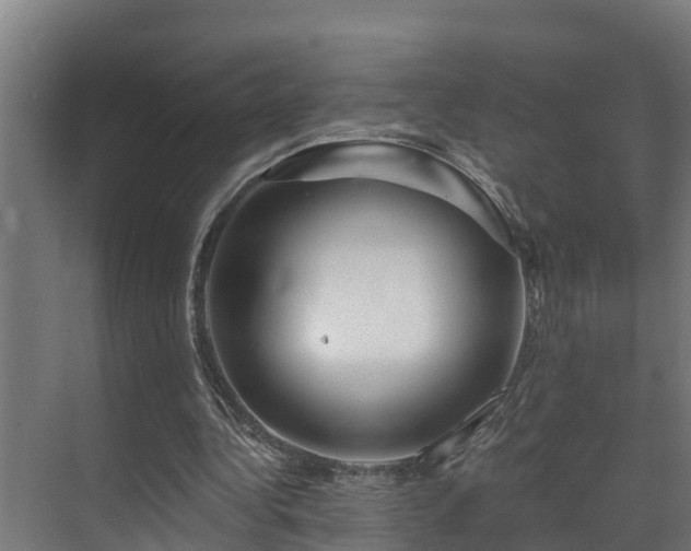 X0000071330340200606261252