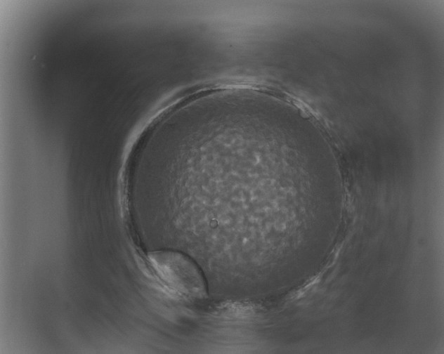 X0000071330343200606261252