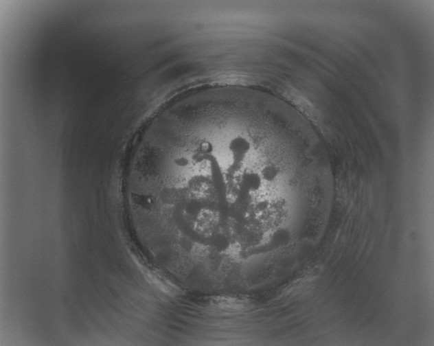 X0000071330347200606261252