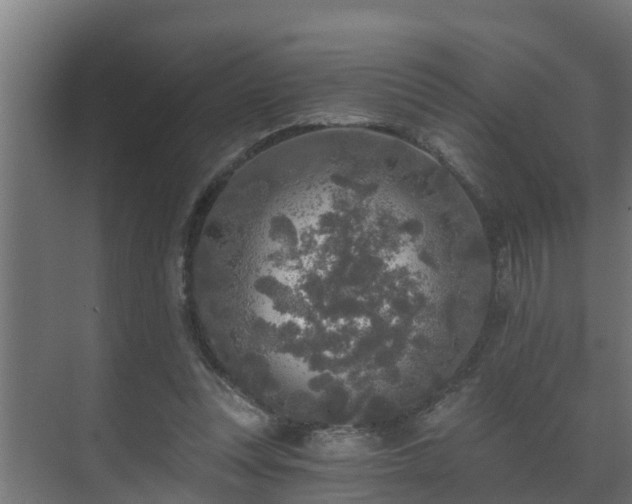 X0000071330351200606261252