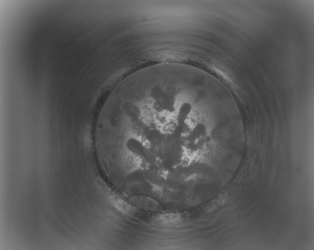 X0000071330353200606261252