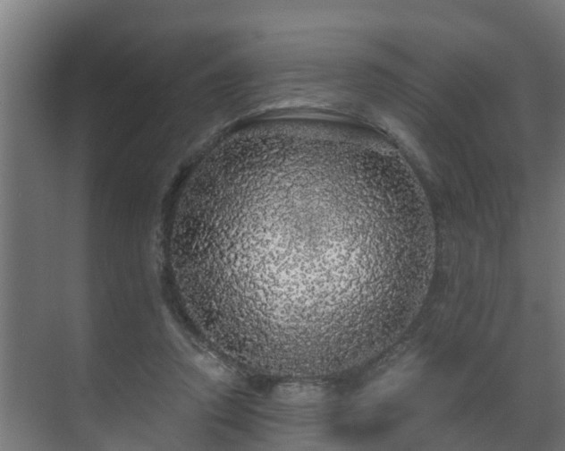 X0000071330354200606261252