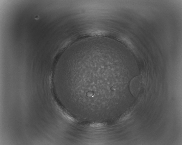 X0000071330357200606261252