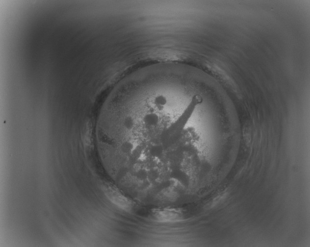 X0000071330359200606261252