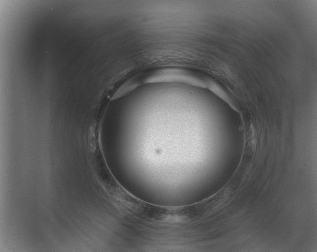 X0000071330360200606261252