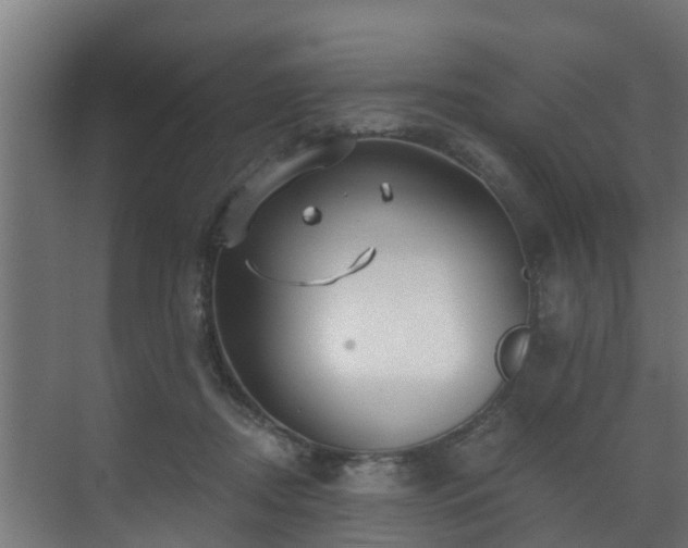 X0000071330362200606261253