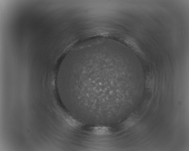 X0000071330363200606261253